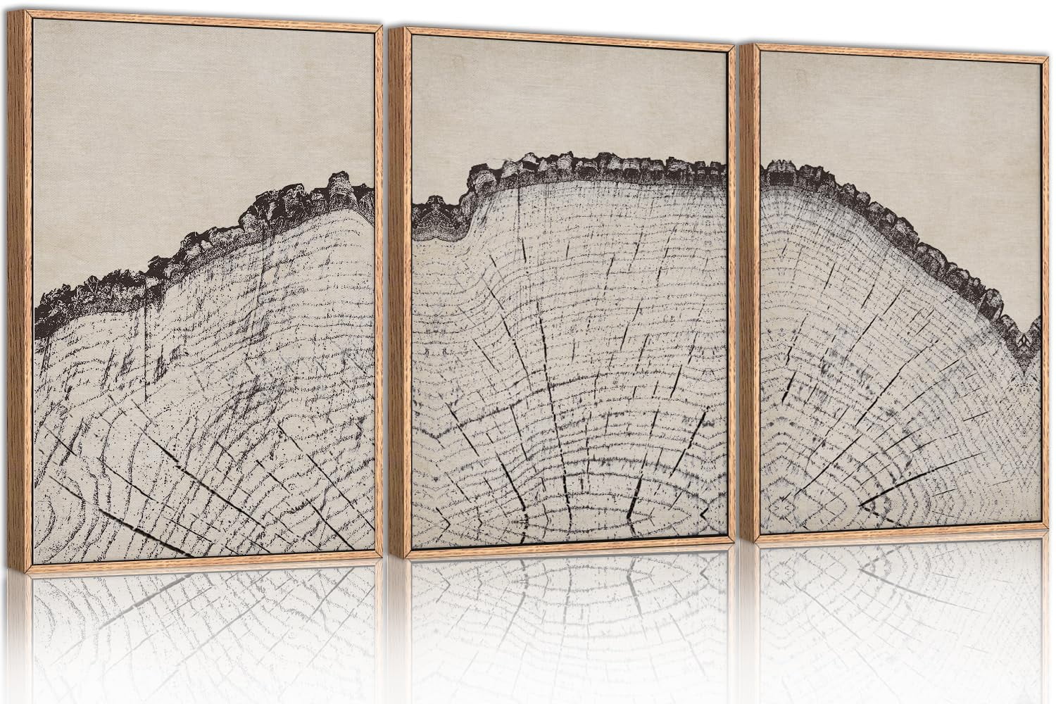 UNFFRAMED Luvia Set of 3 Vintage Wood Tree Rings Poster Wall Art, Black ...