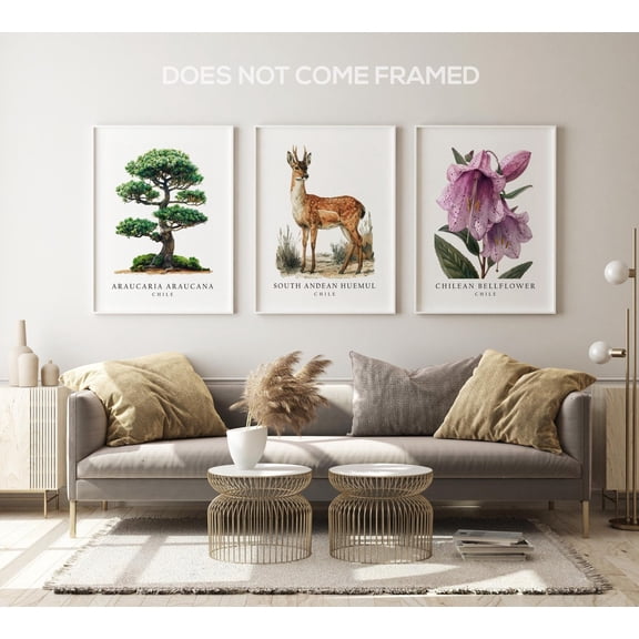 UNFFRAMED Luvia Set of 3 Chile National Symbols Poster, Huemul and Bellflower Wall Art Decor Set 3 Prints 8x12