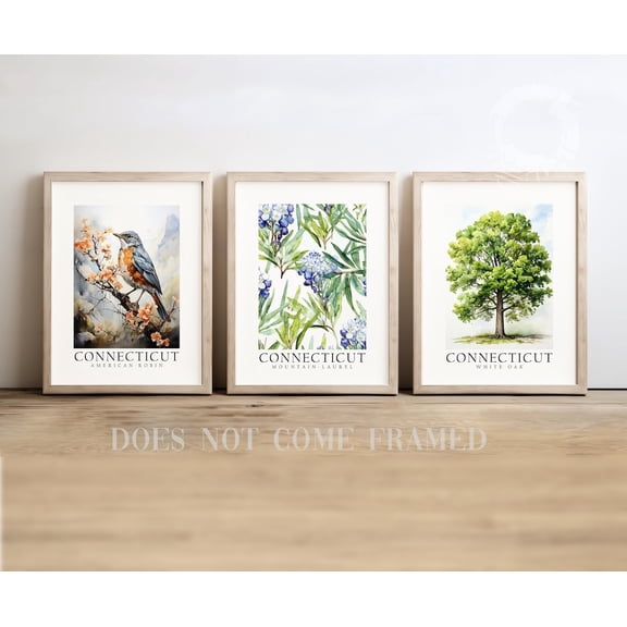 UNFFRAMED Luvia Set of 3 Connecticut State Symbols Poster, American Robin, White Oak, and Mountain Laurel Wall Art Decor Set 3 Prints 16x24
