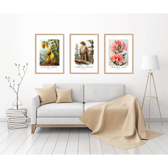 UNFFRAMED Luvia Set of 3 Ghana National Symbols Poster, Tawny Eagle, Impala Lily, and Cocoa Tree Wall Art Decor Set 3 Prints 20x30