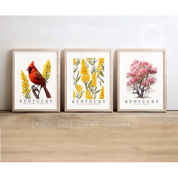UNFFRAMED Luvia Set of 3 Kentucky State Symbols Poster, Northern Cardinal, Tulip Tree, and Goldenrod Wall Art Decor Set 3 Prints 8x12