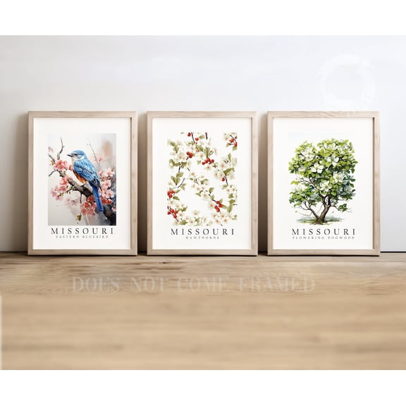 UNFFRAMED Luvia Set of 3 Missouri State Symbols Poster, Eastern Bluebird, Dogwood, and Hawthorn Wall Art Decor Set 3 Prints 16x24