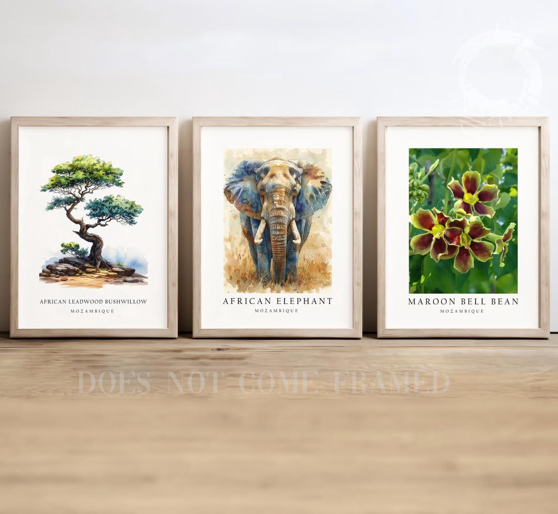 UNFFRAMED Luvia Set of 3 Mozambique National Symbols Poster Wall Art ...