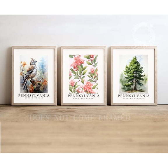 UNFFRAMED Luvia Set of 3 Pennsylvania State Symbols Poster, Ruffed Grouse, Hemlock, and Mountain Laurel Wall Art Decor Set 3 Prints 12x18