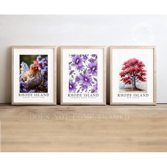UNFFRAMED Luvia Set of 3 Rhode Island State Symbols Poster, Rhode Island Red, Red Maple, and Violet Wall Art Decor Set 3 Prints 20x30