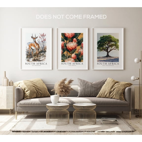 UNFFRAMED Luvia Set of 3 South Africa National Symbols Poster Prints, Springbok, King Protea, and Yellowwood Tree Wall Art Decor Set 3 Prints 8x12
