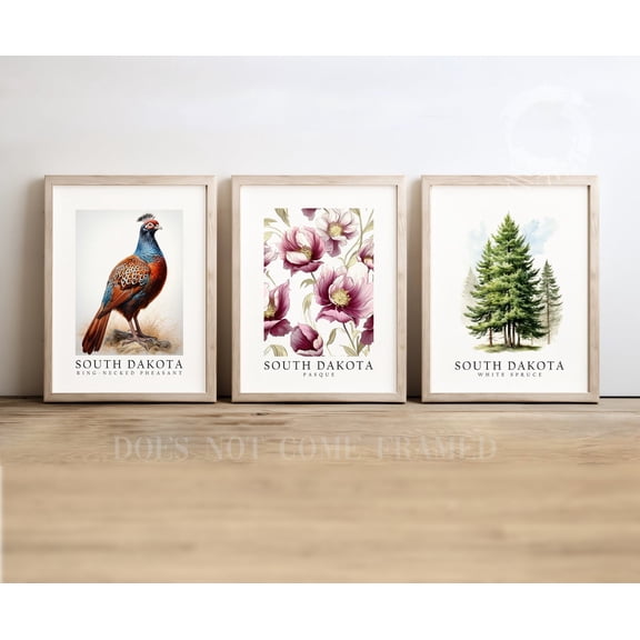 UNFFRAMED Luvia Set of 3 South Dakota State Symbols Poster, Pheasant, White Spruce, and Pasque Flower Wall Art Decor Set 3 Prints 16x24