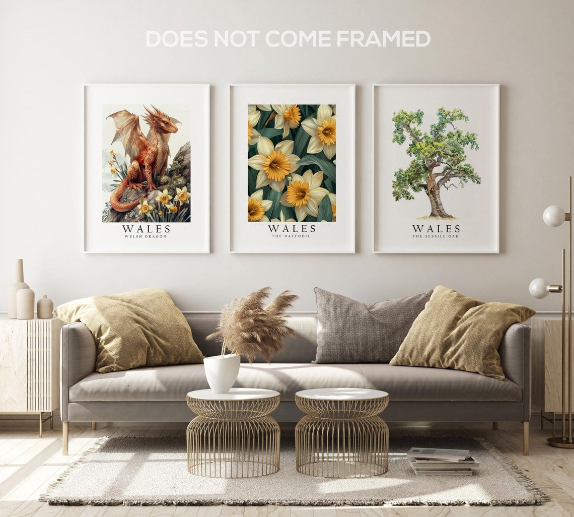 UNFFRAMED Luvia Set of 3 Wales National Symbols Poster Wall Art, Dragon ...