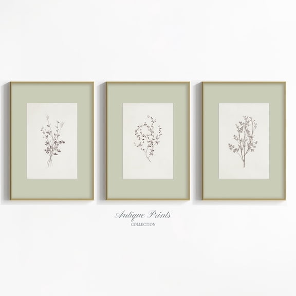 UNFFRAMED Neutral Botanical Wall Art, Vintage Branch Drawinget Minimalist Sage Green Floral Posters, Farmhouse Cottagecore Decor Set 3 Prints 16x24
