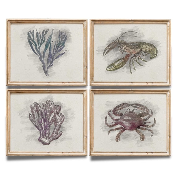 UNFFRAMED Ocean Life Sketches Art Posters Set Set 4 Prints 8x12