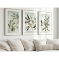thumbnail image 1 of UNFFRAMED Olive Branch Set, Rustic Botanical Wall Art Triptych Set 3 Prints 16x24, 1 of 3