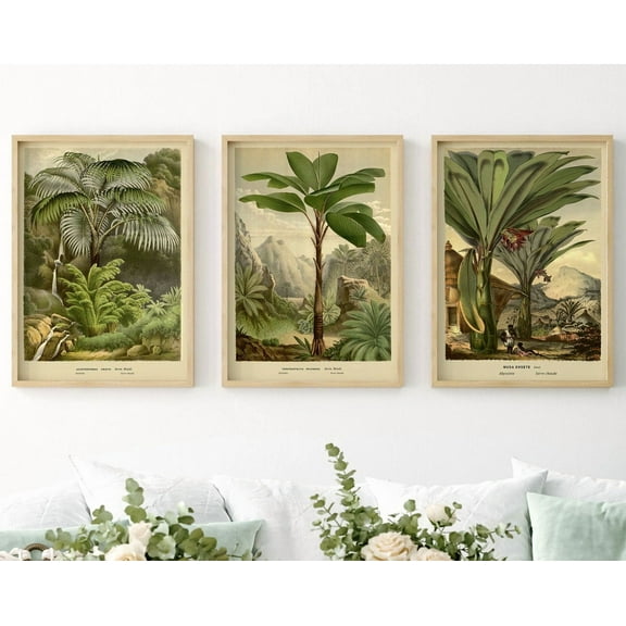 UNFFRAMED Palm Tree Botanical Tropical Trees Greenery Set Of 3 Tropical Plant Prints For New Apartment Or Eco Friendly Home, Modern Wall Decor Set 3 Prints 8x12