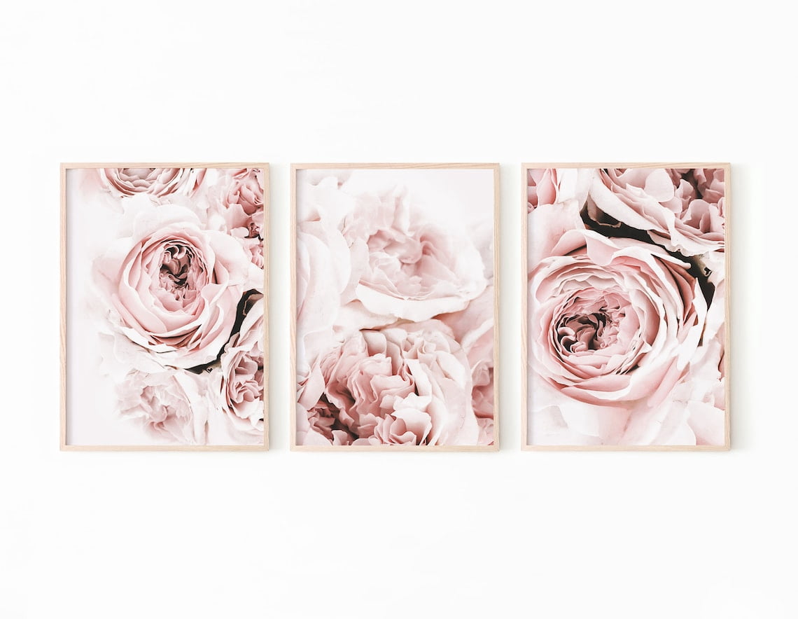 UNFFRAMED Peony Poster, Set Of 3 Flower Poster, Peony Wall Art, Blush ...
