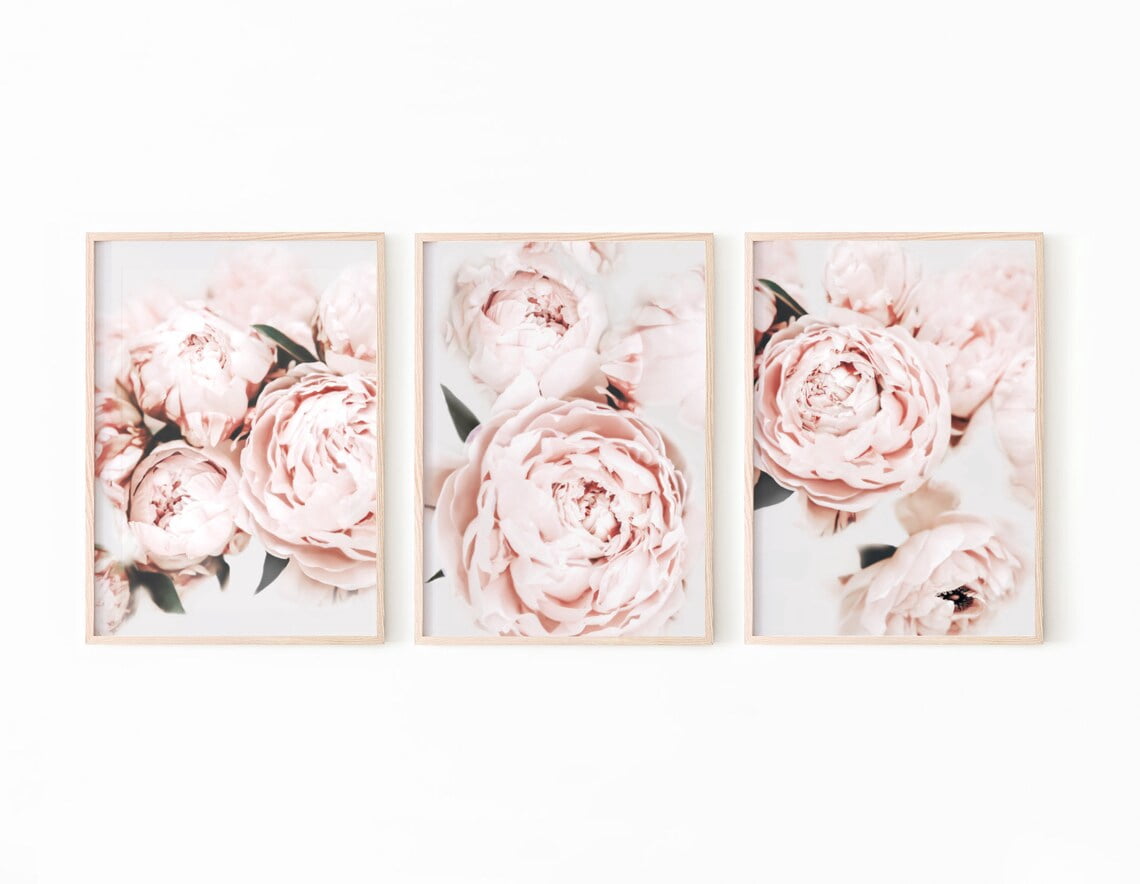 UNFFRAMED Peony Poster Set Of 3, Flower Poster Set, Blush Pink Wall Art ...