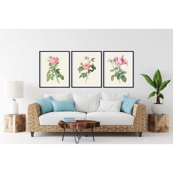 UNFFRAMED Pink Rose Print, Redoute Botanical Art Set 3 Prints 12x18