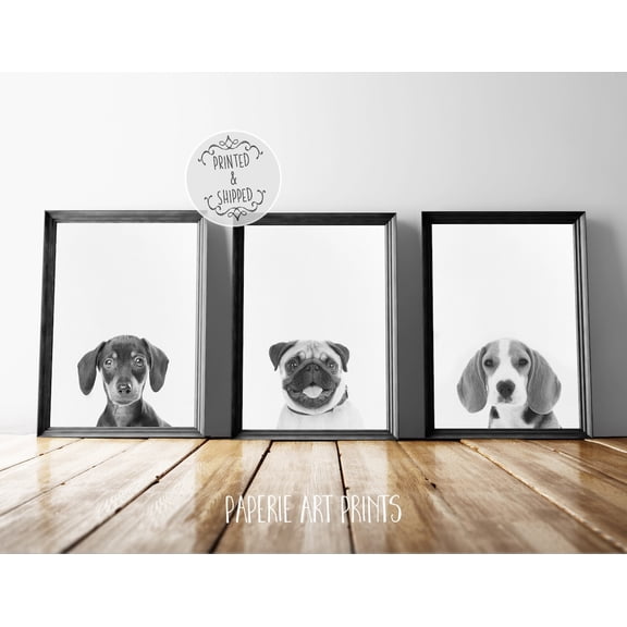 UNFFRAMED Puppy Dog Poster, Dog Wall Art, Animal Nursery Decor, Nursery Wall Art, Puppy Poster, Baby Decor, Dachshund, Pug, Beagle Poster, Set Of 3 Set 3 Prints 20x30