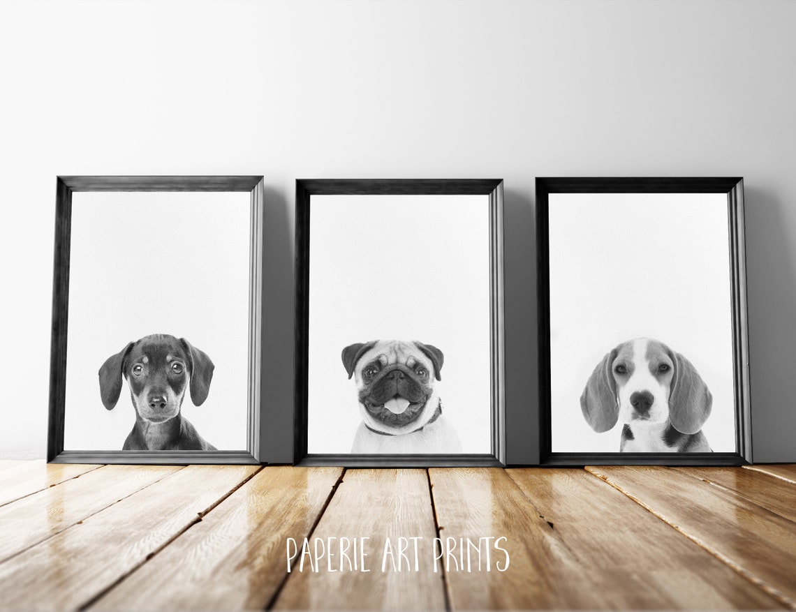 UNFFRAMED Puppy Dog Prints, Dog Wall Art, Puppy Poster, Animal