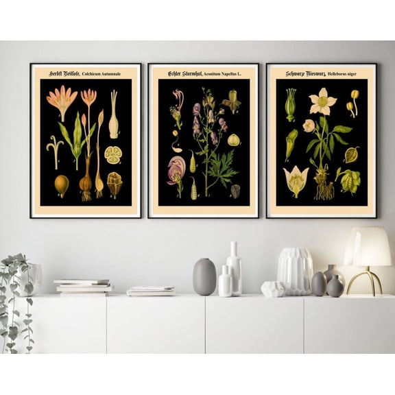 Luvia Rare German Educational Charts Set Of 3 German Botanical Prints Botanical Botanische Wandtafeln German Vintage Charts, Modern Wall Decor Set 3 Prints 12x18 UNFRAMED
