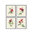 thumbnail image 1 of UNFFRAMED Redoute Red Roses Print Set, Vintage Botanical Art () Set 4 Prints 16x24, 1 of 3