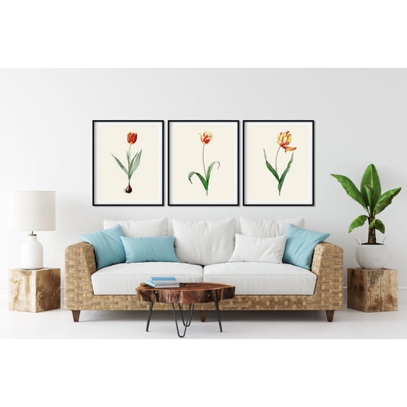 UNFFRAMED Redoute Tulip Prints, Vintage Botanical Wall Art, Kitchen Wall Decor Set 3 Prints 16x24