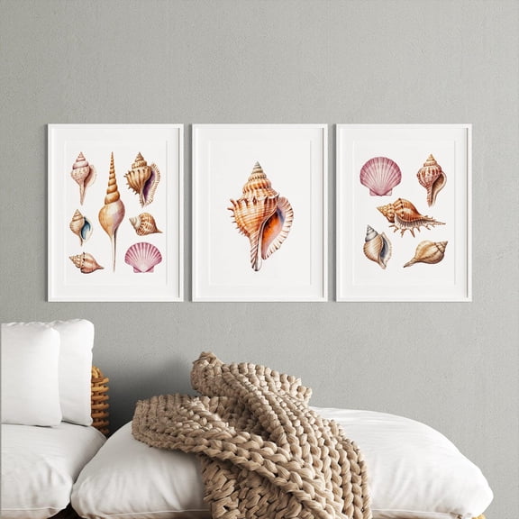 UNFFRAMED Seashell Art Posters Set Beach Coastal Wall Decor Shell Illustrations Ocean Themed Artwork Set 3 Prints 20x30