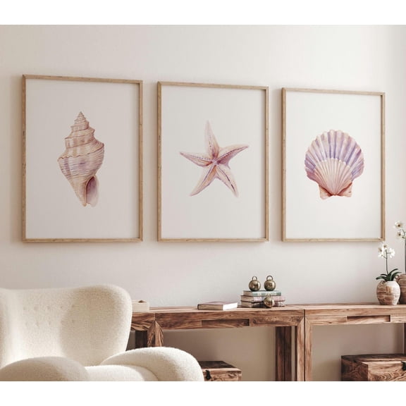 UNFFRAMED Seashell Wall Art Set Sea Shell Posters Pastel Shell Poster Set Coastal Home Decor Starfish Art Beach House Sealife Set 3 Prints 20x30