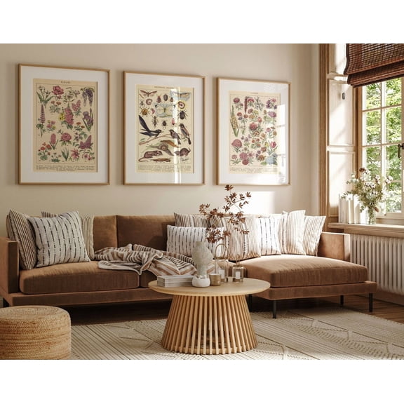 UNFFRAMED Set Of 3 Floral Posters, Vintage Botanical Prints Set, Fleurs Print, Vintage French Floral Chart Posters, Wall Art, Flowers Poster #293 Set 3 Prints 16x24