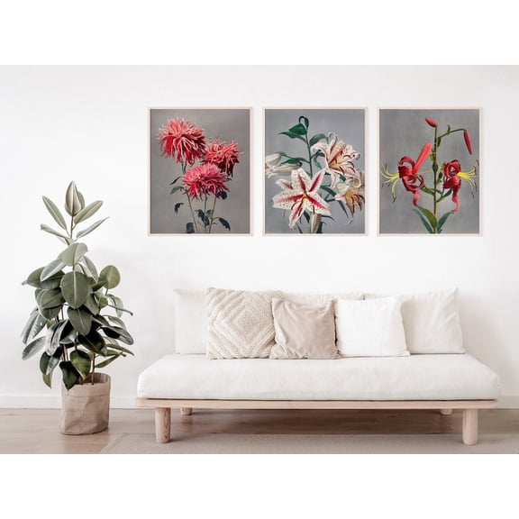 UNFFRAMED Set Of 3 Posters, Ogawa Kazumasa Poster, Botanical Japanese Wall Art, Wall Decor, House Decor, Wall Art Posters, Japan Art Set 3 Prints 8x12