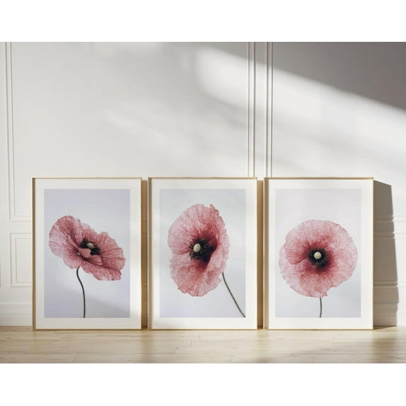 Luvia Set Of 3 Prints - Botanical Prints - Flower Boho, Modern Wall Decor Set 3 Prints 20x30 UNFRAMED