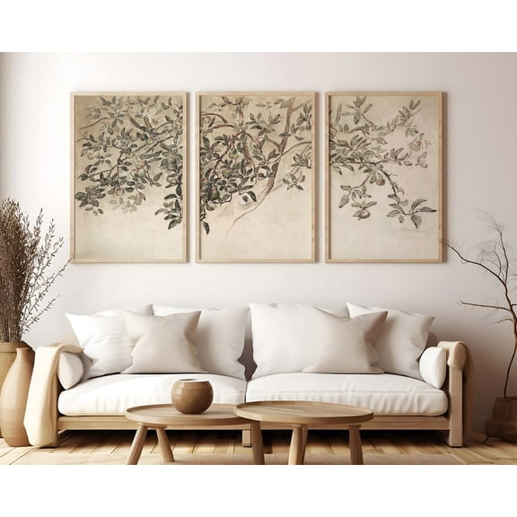 UNFFRAMED Set Of 3 Vintage Apple Tree Branch Split Wall Posters, Neutral Rustic Farmhouse Botanical Wall Art, Evergreen Set 3 Prints 8x12