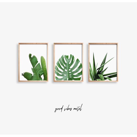 UNFFRAMED Tropical Poster Set Of 3 Posters,Palm Leaf Poster ,Tropical Leaf Poster,Monstera Poster,Palm Leaf Wall Art,Botanical Art Set Set 3 Prints 20x30
