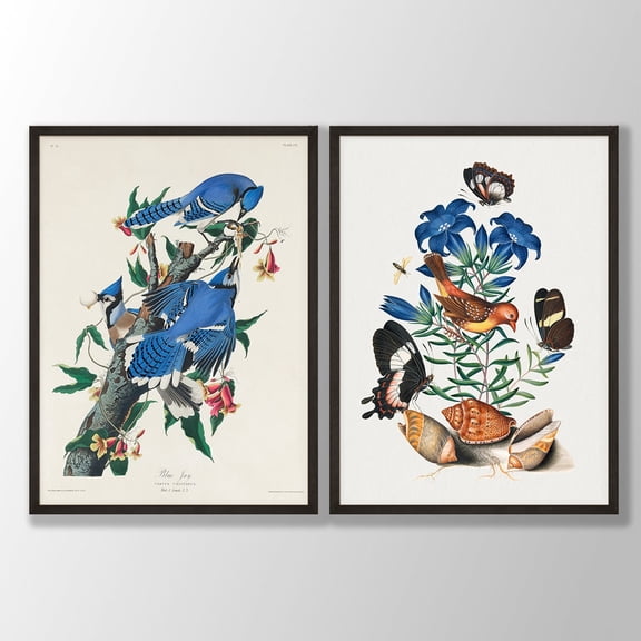 UNFFRAMED Vintage Audubon Bird Prints Set, Blue Jay & Avadavat Wall Art Set 2 Prints 20x30