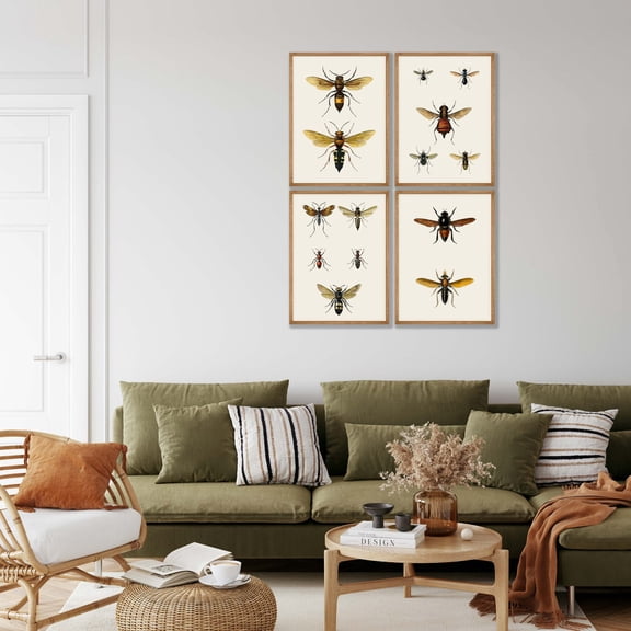 UNFFRAMED Vintage Bee Prints Set, Natural History Gallery Wall Art Set 4 Prints 20x30