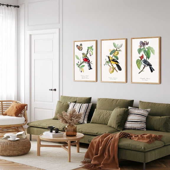 UNFFRAMED Vintage Bird Prints Set, Natural History Botanical Wall Art Set 3 Prints 16x24