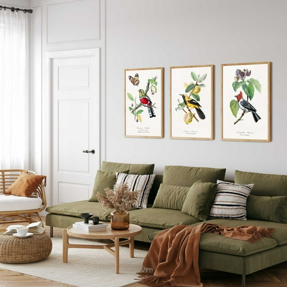 UNFFRAMED Vintage Bird Prints Set, Natural History Botanical Wall Art Set 3 Prints 20x30