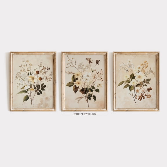 UNFFRAMED Vintage Botanical Neutral Floral Set Of Three 3, Able, Calming Nature Illustration, Elegant Wildflower Wall Decor Set 3 Prints 8x12