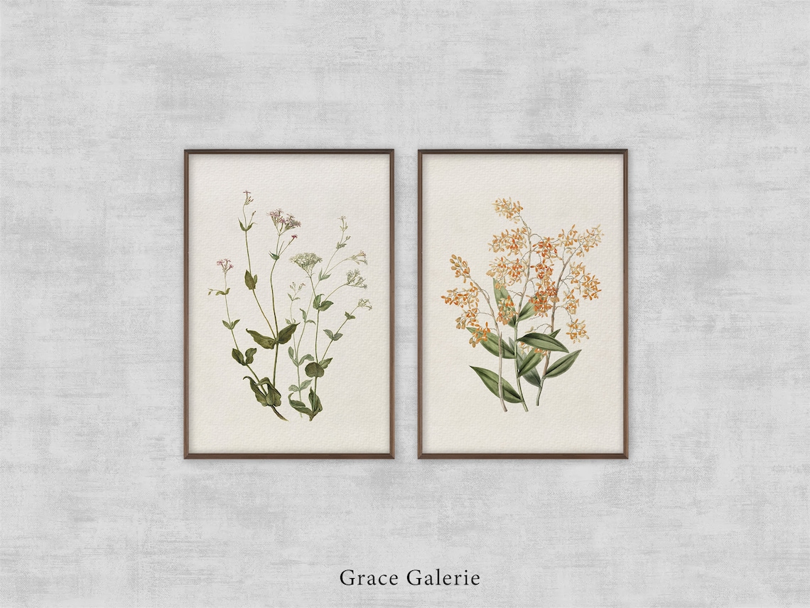 UNFFRAMED Vintage Botany Gallery Wall Art, Set, Rode En Witte Viscaria ...