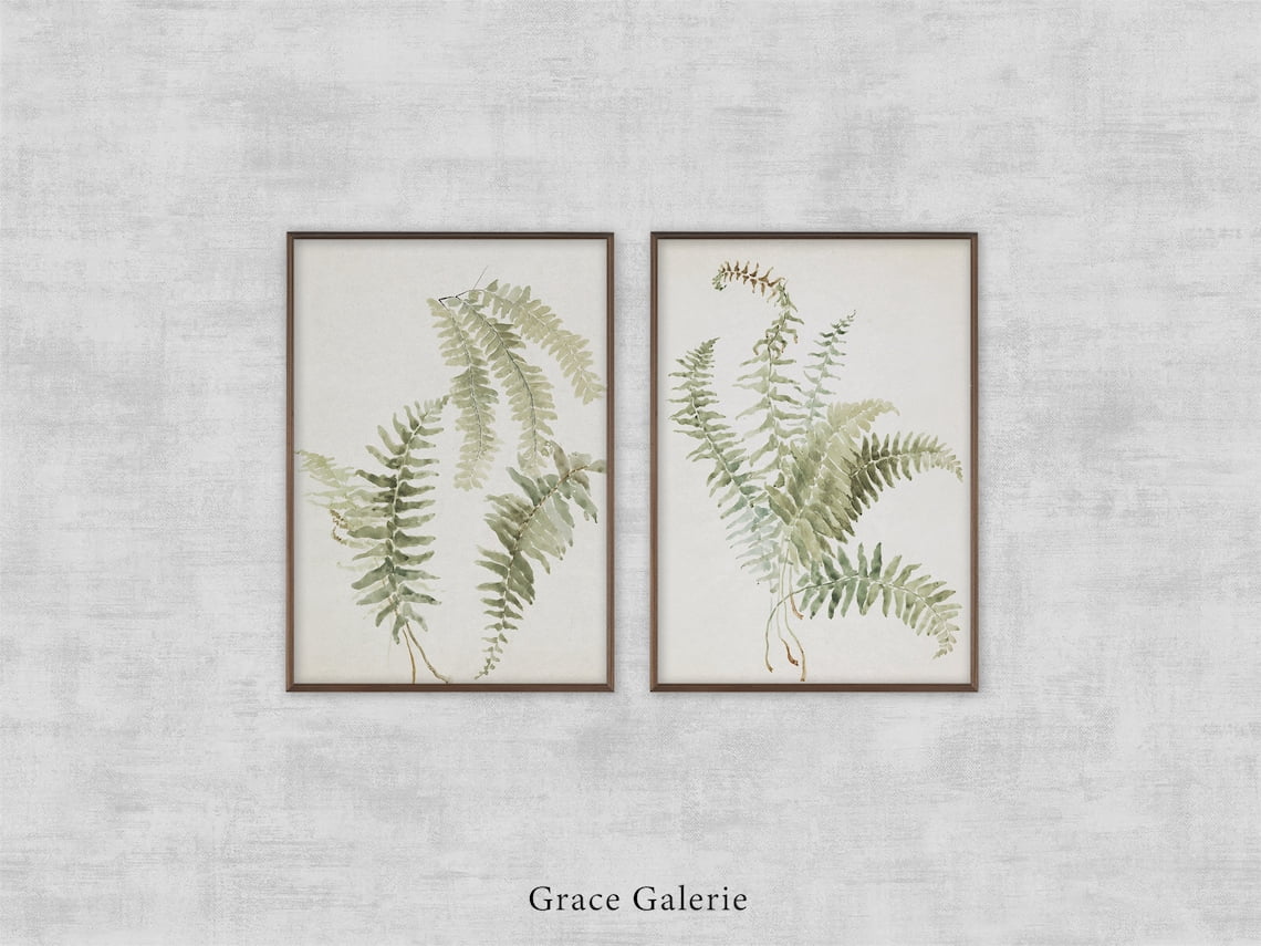 UNFFRAMED Vintage Botany Gallery Wall Art, Set, Study Of Ferns, Set 2 ...