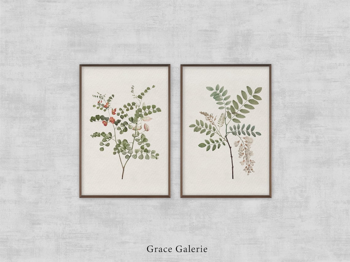 UNFFRAMED Vintage Botany Gallery Wall Art, Set, Vintage Botany, Set 2 ...