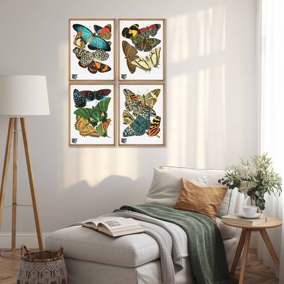 UNFFRAMED Vintage Butterfly Prints, Natural History Gallery Wall Art, Set 4 Prints 12x18