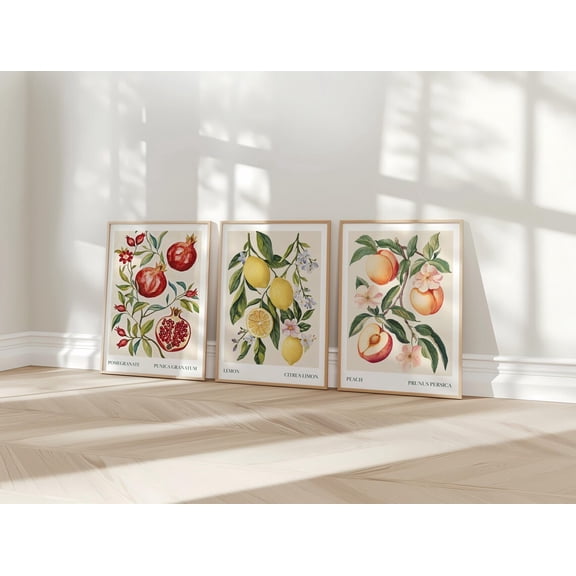 UNFFRAMED Vintage Citrus Fruit Poster Set, Lemon, Peach, Pomegranate, Botanical Wall Art, Fruit Market Wall Art, Dining Room Art, Summer Fruit Posters Set 3 Prints 20x30