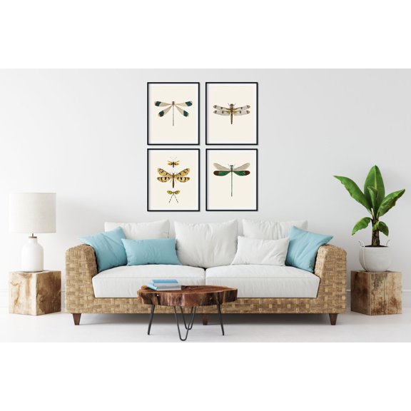 UNFFRAMED Vintage Dragonfly Print Set, Natural History Gallery Wall Art Set 4 Prints 8x12