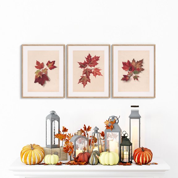 UNFFRAMED Vintage Fall Leaves Poster, Maple Leaves Wall Art Set, Botanical Leaves Poster, Autumn Wall Art, Fall Botanical Wall Decor Set 3 Prints 8x12