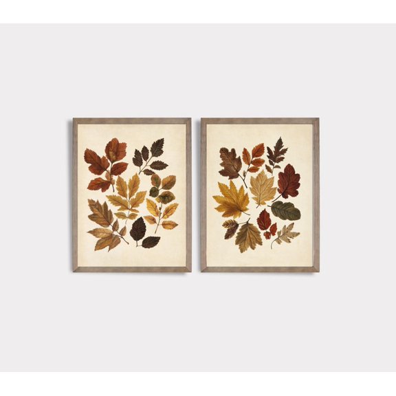 UNFFRAMED Vintage Fall Set Of Two Botanical Posters, Autumn Leaf Wall Decor, Leaf Botanical Wall Art,, E515 Set 2 Prints 8x12