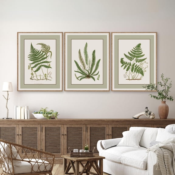 UNFFRAMED Vintage Fern Poster Set, Vintage Botanical Gallery Wall Art, Green Botanical Farmhouse Wall Decor, Fern Leaves Wall Art Decor Set 3 Prints 8x12