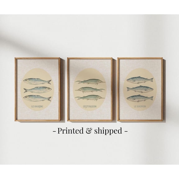 UNFFRAMED Vintage Fish Posters Gallery Wall Art Set, Coastal Nautical Decor Set 3 Prints 20x30