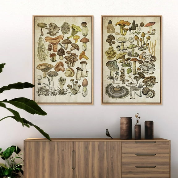 UNFFRAMED Wall Art Set Of 2 Mushroom Botanical Prints Modern Vintage Art Kitchen Wall Decor Set 2 Prints 8x12