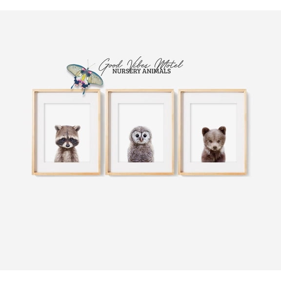 UNFFRAMED Woodland Nursery Decor, Set Of 3 Nursery Posters, Baby Animal Posters, Baby Poster, Owl Poster, Deer Poster, Woodland Animal Posters Set 3 Prints 8x12