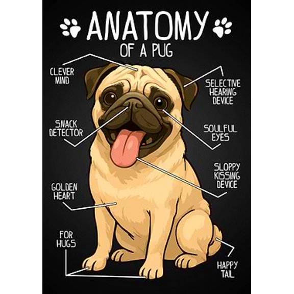 [UNFRAMED] Anatomy of a Pug Fun Dog Lover Wall Art