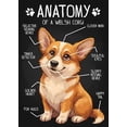 thumbnail image 1 of [UNFRAMED] Anatomy of a Welsh Corgi Wall Art, 1 of 2